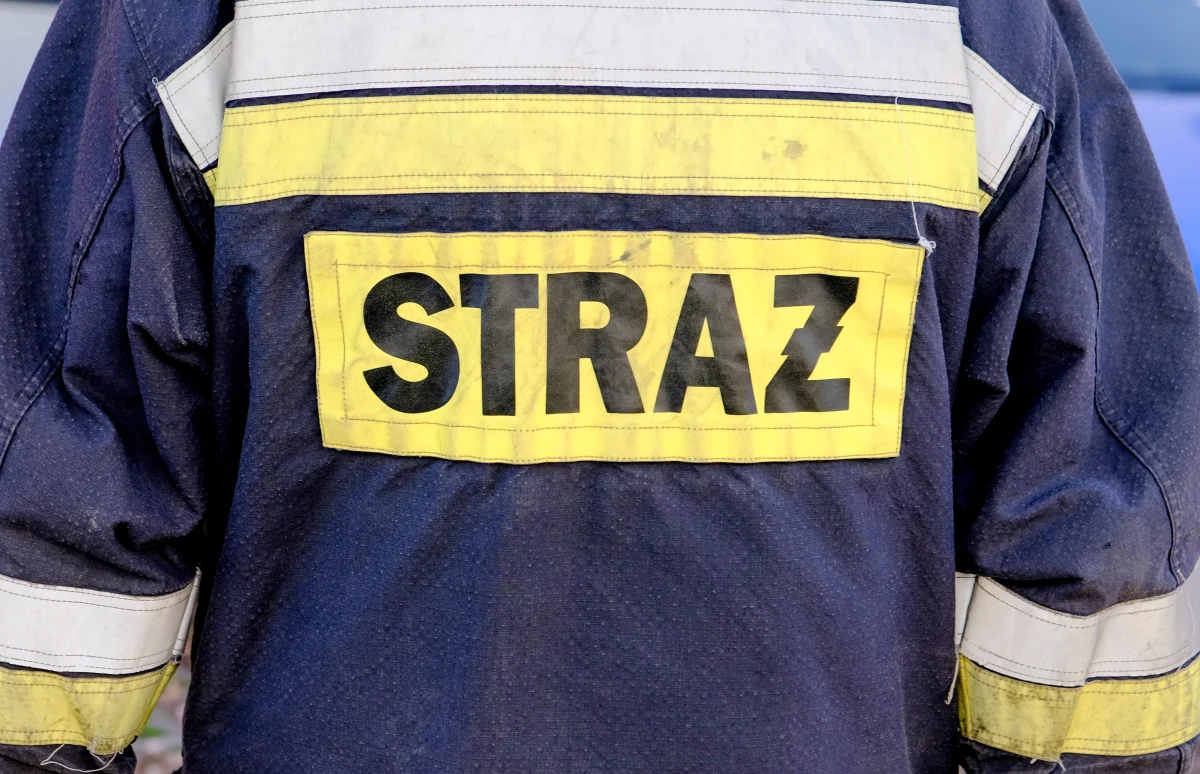 Zawalił się dach pustostanu po byłej fabryce przy ulicy Senatorskiej w Legnicy w województwie dolnośląskim. Strażacy z psami przeszukiwali gruzowisko. 