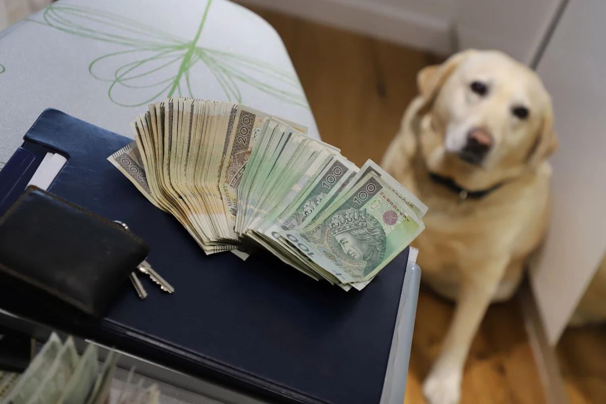 Krajowa Administracja Skarbowa pod nadzorem Prokuratury Regionalnej w Gdańsku zatrzymała siedem osób podejrzanych o udział w zorganizowanej grupie przestępczej. Organizowała ona nielegalne gry hazardowe w województwach warmińsko-mazurskim i pomorskim. 