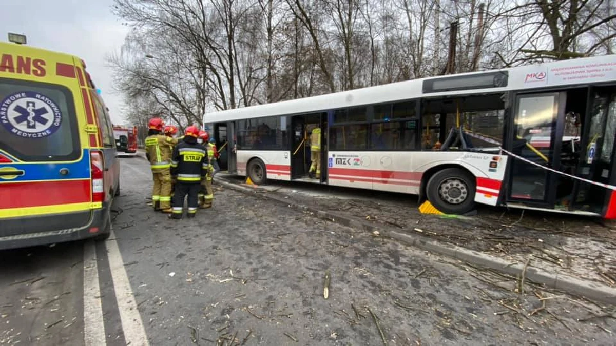 Dziewięć osób zostało poszkodowanych w wypadku autobusu miejskiego w Jastrzębiu Zdroju. Przed godziną 9:00 na ul. Pszczyńskiej pojazd uderzył w drzewo. 