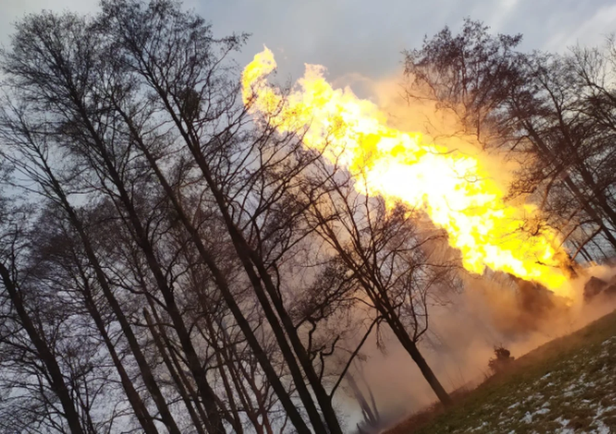 W miejscowości Cesarka w gminie Zgierz w woj. łódzkim doszło do pożaru gazociągu, spowodowanego jego rozszczelnieniem podczas prac budowlanych. W czasie wybuchu poszkodowane zostały trzy osoby. Na miejscu trwa akcja gaśnicza.