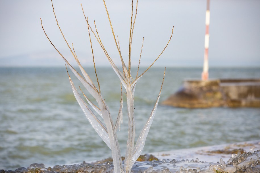 /Gyorgy Varga /PAP/EPA