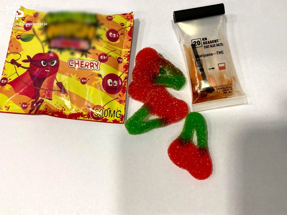 /Krajowa Administracja Skarbowa /Materiały prasowe