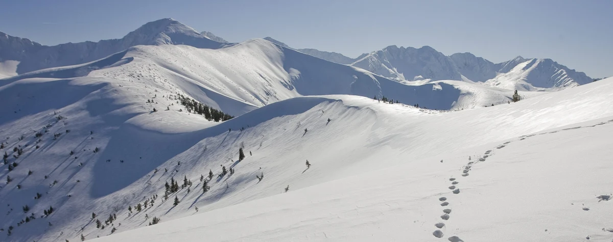 Ratownicy Tatrzańskiego Ochotniczego Pogotowia Ratunkowego (TOPR) i słowackiej Horskiej Zachrannej Slużby (HZS) po zmroku przerwali poszukiwania polskiego turysty, który zaginął w rejonie Doliny Chochołowskiej. Poszukiwania będą kontynuowane jutro rano – zapewniają ratownicy. 