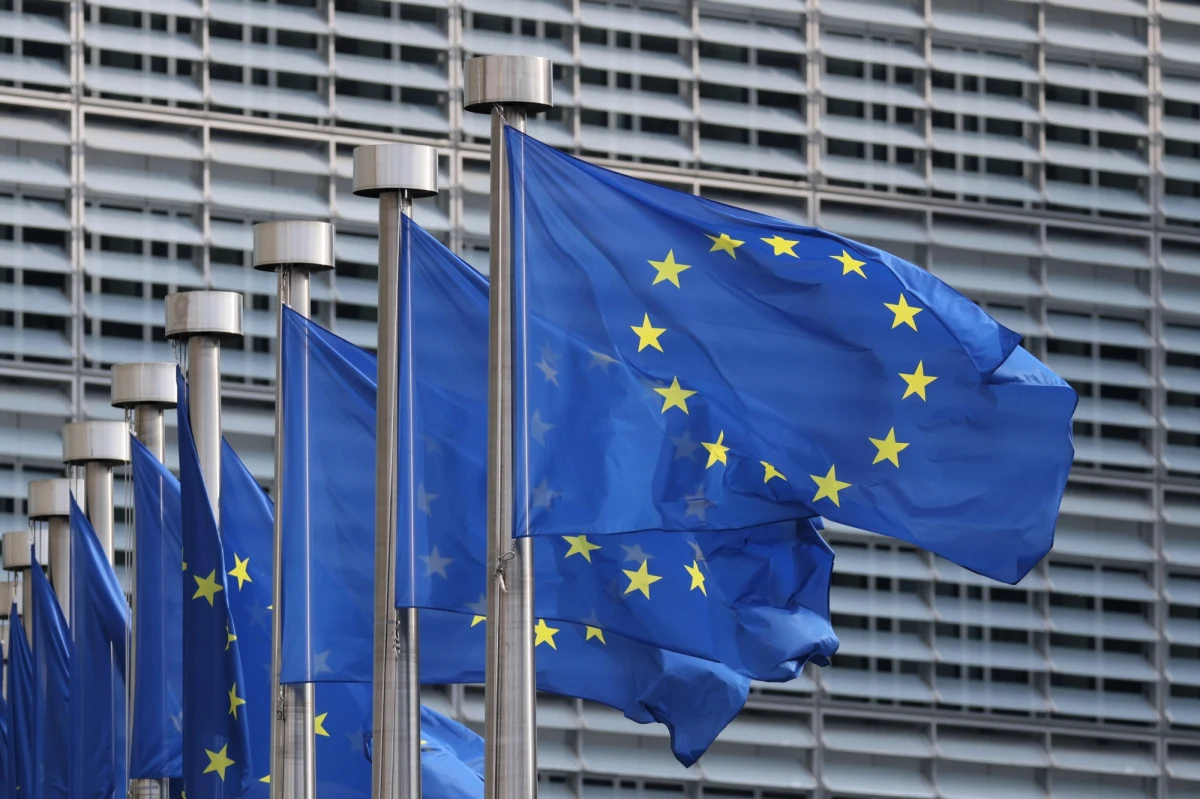 Turcja "pozostaje zdeterminowana, by zostać członkiem Unii Europejskiej", choć jednocześnie oskarża UE o "liczne niesprawiedliwości" i "strategiczną głupotę" - to słowa prezydenta kraju, Recepa Tayyipa Erdogana, wypowiedziane podczas czwartkowej rozmowy z akredytowanymi w Ankarze ambasadorami państw Unii. Głowa państwa mówiła o swoich oczekiwaniach wobec Unii Europejskiej.