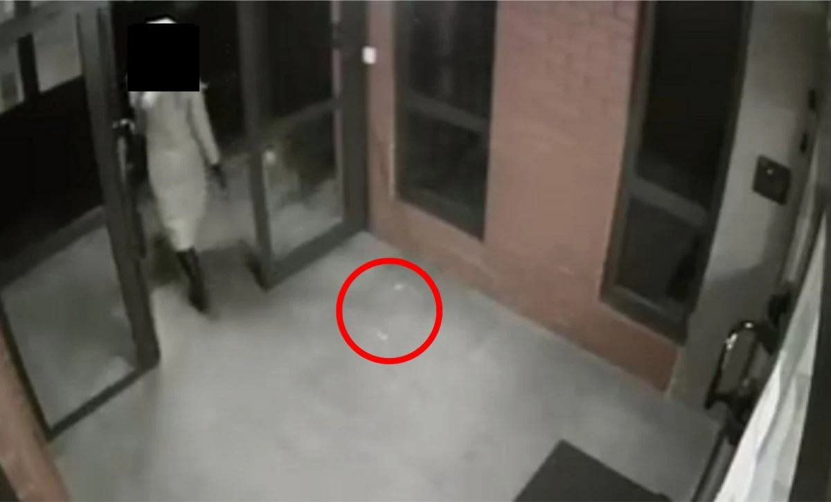 Kobieta w Warszawie wkładała do parówek haczyki wędkarskie i rozrzucała je na klatce schodowej, by spowodować cierpienie lub śmierć psów. Usłyszała już zarzut, grozi jej kara do pięciu lat pozbawienia wolności.