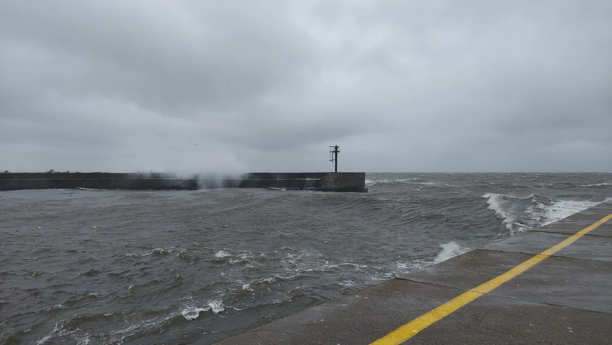 Wiatr o sile 75-100 km/h, w porywach do 117 km/h - to prognoza na poniedziałek, 17 stycznia, przekazana przez Instytut Meteorologii i Gospodarki Wodnej. Na morzu występuje silny sztorm, a na lądzie - wichura, która powoduje łamanie drzew i problemy w kursowaniu transportu publicznego.
