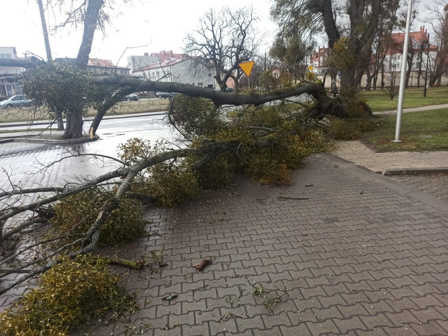 /Komenda Wojewódzka PSP w Olsztynie /Materiały prasowe