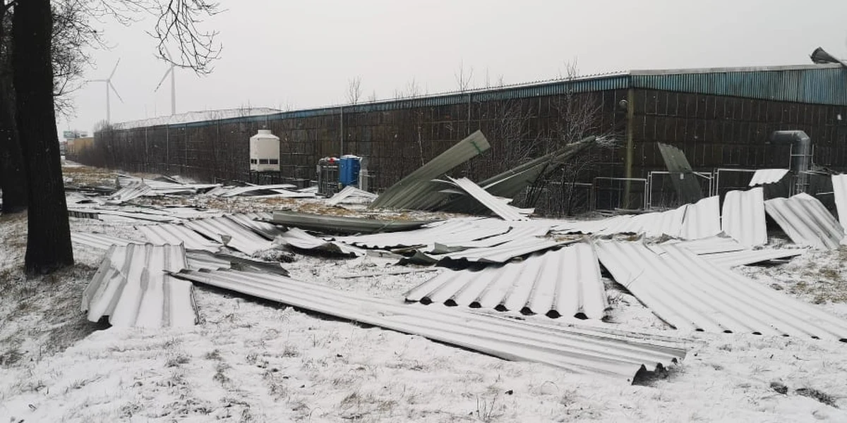 W Kłobucku, koło Częstochowy, wiatr częściowo zerwał dach hali produkcyjnej - poinformowała rzeczniczka śląskiej straży pożarnej młodsza brygadier Aneta Gołębiowska. W całym województwie śląskim strażacy interweniowali dziś już ponad 100 razy.