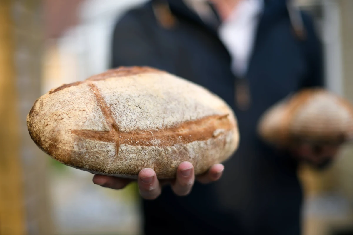 Brońmy chleba – apelują przedsiębiorcy Północnej Izby Gospodarczej. A piekarze ostrzegają, że za moment pieczywo będzie towarem delikatesowym. Rzemieślniczym piekarniom, o ile drastycznie nie podniosą cen wyrobów, grozi bankructwo. Powodem są drastyczne podwyżki cen gazu.