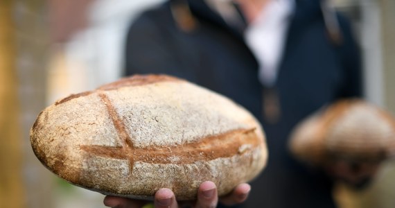 Brońmy chleba – apelują przedsiębiorcy Północnej Izby Gospodarczej. A piekarze ostrzegają, że za moment pieczywo będzie towarem delikatesowym. Rzemieślniczym piekarniom, o ile drastycznie nie podniosą cen wyrobów, grozi bankructwo. Powodem są drastyczne podwyżki cen gazu.