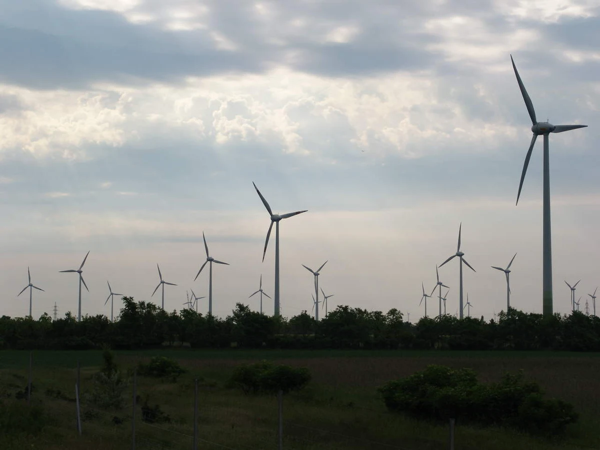 Szalejące nad Polską wichury napędziły wytwarzanie prądu przez wiatraki. Przez większość godzin poniedziałku produkcja polskiej energetyki wiatrowej przekraczała 6 GWh, czyli wyjątkowo wysoki poziom, nieosiągalny jeszcze kilka miesięcy temu. 