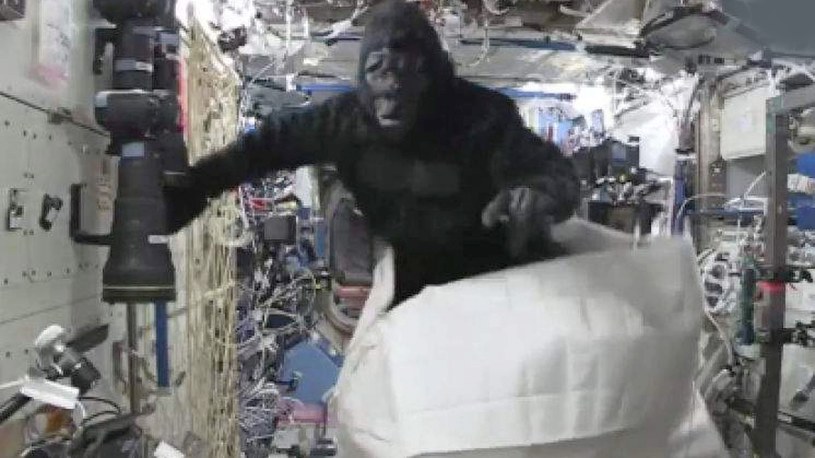 Astronauta Scott Kelly pojawił się niedawno na serwisie Reddit, gdzie wziął udział w AMA. Opowiedział tam kilka ciekawych historii ze swojego pobytu na pokładzie Międzynarodowej Stacji Kosmicznej. Wśród nich pojawiła się afera z gorylem.