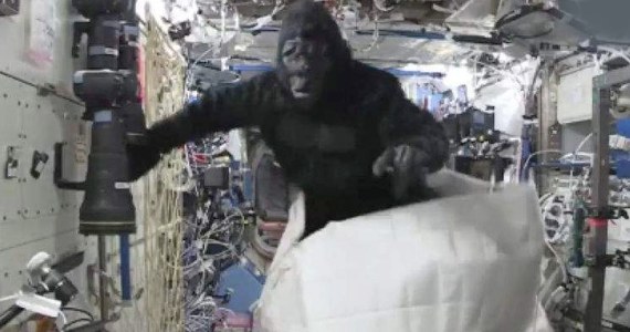 Gorilla in space.  Astronauts experienced moments of horror