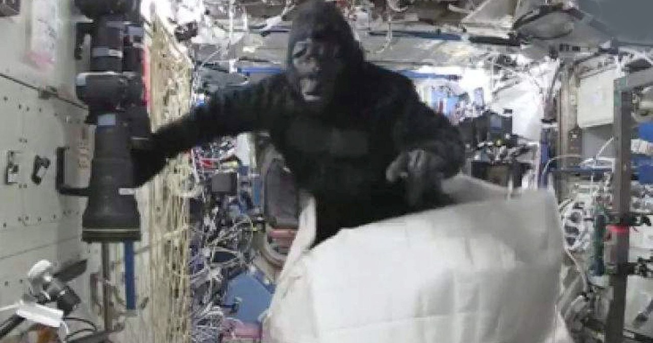 Astronauta Scott Kelly pojawił się niedawno na serwisie Reddit, gdzie wziął udział w AMA. Opowiedział tam kilka ciekawych historii ze swojego pobytu na pokładzie Międzynarodowej Stacji Kosmicznej. Wśród nich pojawiła się afera z gorylem.