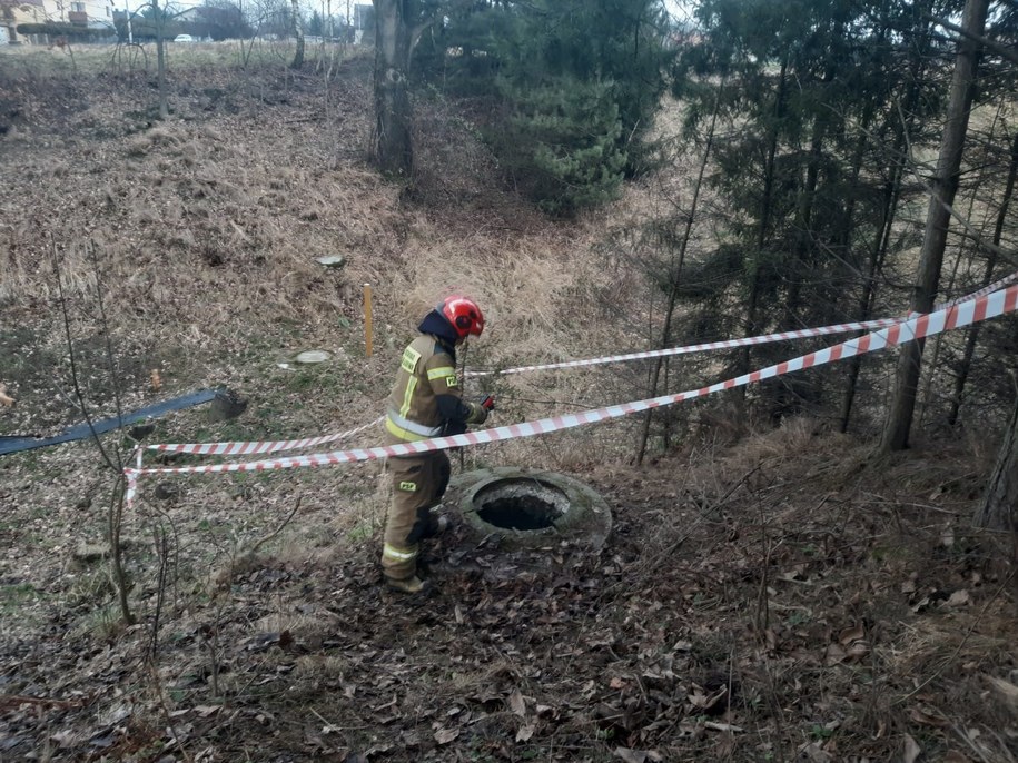 /PSP w Wodzisławiu Śląskim /Materiały prasowe