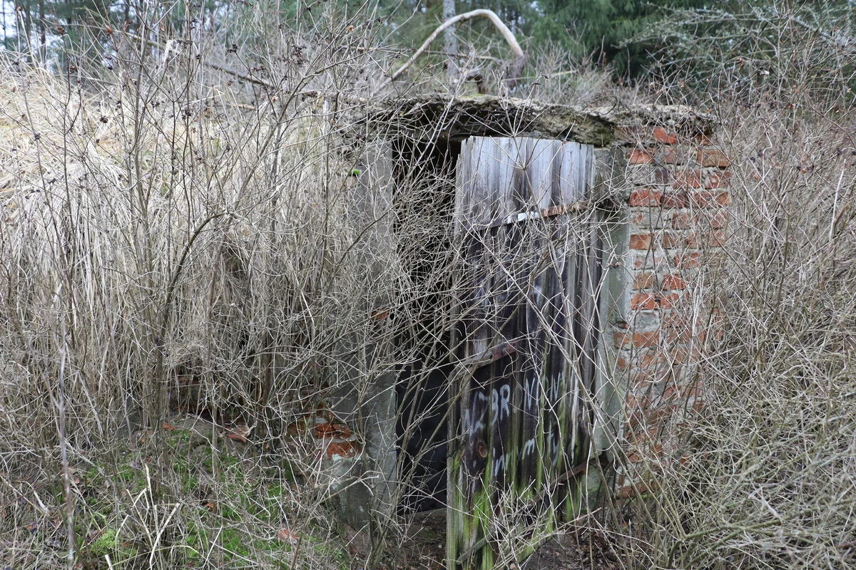 Policjanci z poznańskiego Archiwum X wracają do sprawy sprzed 13 lat, kiedy doszło do wykorzystania seksualnego dwóch dziewczynek w lesie na terenie pow. ostrowskiego. Komenda Wojewódzka Policji w Poznaniu opublikowała nagranie z głosem mężczyzny. "To pedofil" – podkreśla i prosi o kontakt osoby, które go rozpoznają.