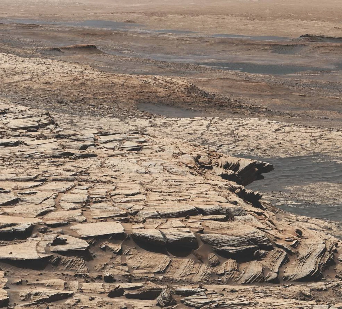 Amerykański łazik Curiosity, przebywający na powierzchni Marsa, natrafił na specyficzną mieszankę izotopów węgla - taką, jaka na Ziemi związana jest z obecnością procesów biologicznych – informuje NASA.
