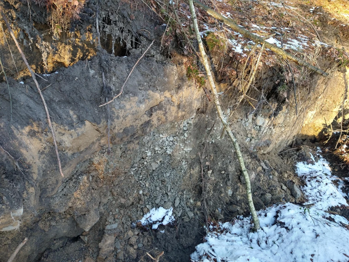 Zapadlisko w Bolesławiu pod Olkuszem gwałtownie się powiększyło. Obecnie ma głębokość aż 40 metrów, początkowo było to 15 metrów. Zwiększył się również jego obszar. Zapadlisko jest szczególnie niebezpieczne, ponieważ w jego pobliżu znajdują się domy.