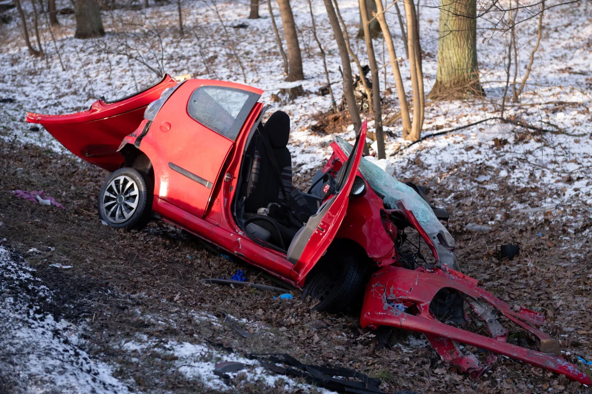 ​Dwie osoby zginęły w wypadku na drodze krajowej nr 11 w miejscowości Parkowo w Wielkopolsce. Do wypadku doszło w piątek rano. 