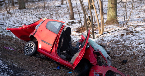 ​Dwie osoby zginęły w wypadku na drodze krajowej nr 11 w miejscowości Parkowo w Wielkopolsce. Do wypadku doszło w piątek rano. 