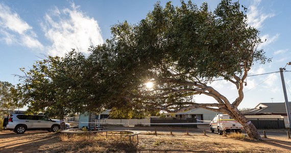 W Perth, stolicy stanu Australia Zachodnia, odnotowano w niedzielę rekordowy szósty dzień z temperaturą przekraczającą 40 stopni Celsjusza. Miasto tak wysoką temperaturę osiągało w ciągu trwającego właśnie na południowej półkuli lata 11 razy, czym pobiło swój kolejny rekord siedmiu dni ustanowiony w sezonie 2015-16 - poinformował brytyjski dziennik "Guardian".