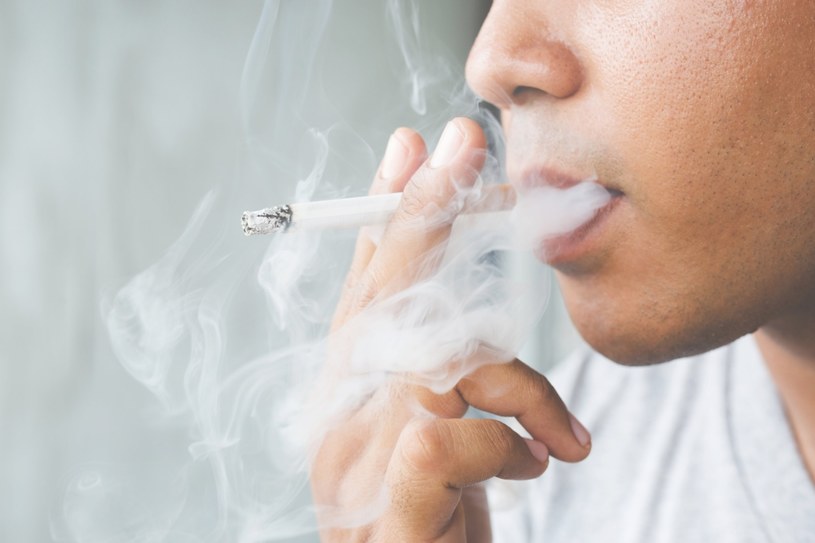 Z najnowszych badań wynika, że wnuczki mężczyzn palących papierosy przed osiągnięciem dojrzałości płciowej, jako młode kobiety mają często wyższą zawartość tkanki tłuszczowej - oznacza to, że skutki palenia papierosów widoczne są nawet kilka generacji później. 