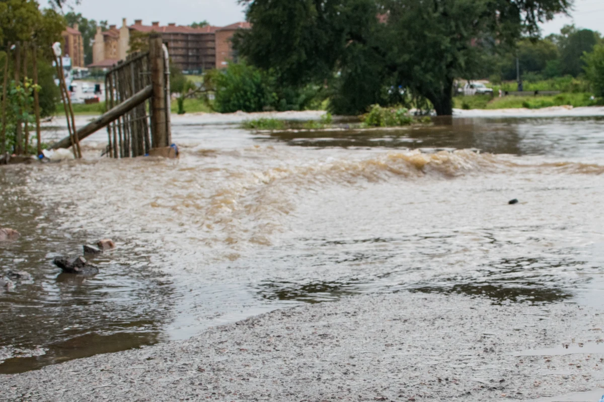 Republika Południowej Afryki zmaga się z niespotykanymi w tym kraju opadami deszczu. Ulewy uderzyły w najważniejsze rolnicze regiony kraju, niszcząc plony i powodując powodzie.