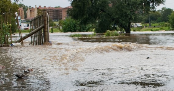 Republika Południowej Afryki zmaga się z niespotykanymi w tym kraju opadami deszczu. Ulewy uderzyły w najważniejsze rolnicze regiony kraju, niszcząc plony i powodując powodzie.