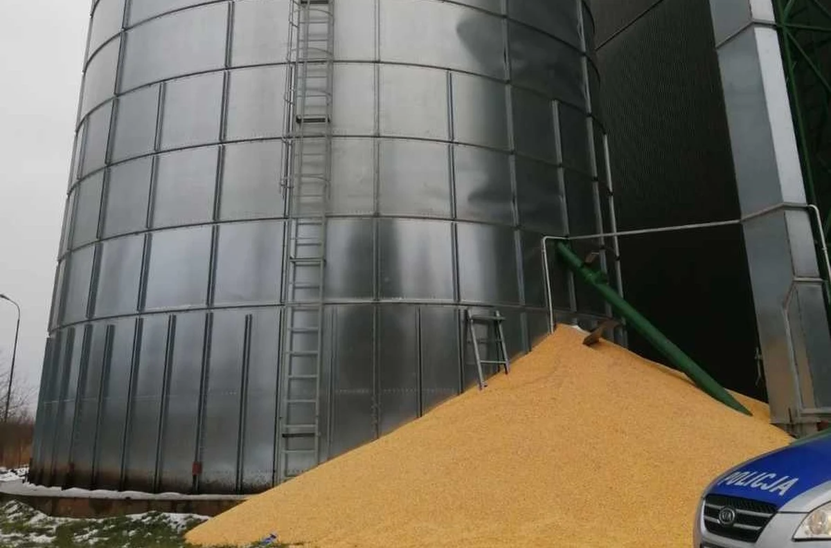 Do tragicznego wypadku doszło w Oleszycach na Podkarpaciu. 41-latek wszedł do silosu, żeby go naprawić. Wówczas ziarna kukurydzy osunęły się i przysypały go. Mężczyzny nie udało się uratować.