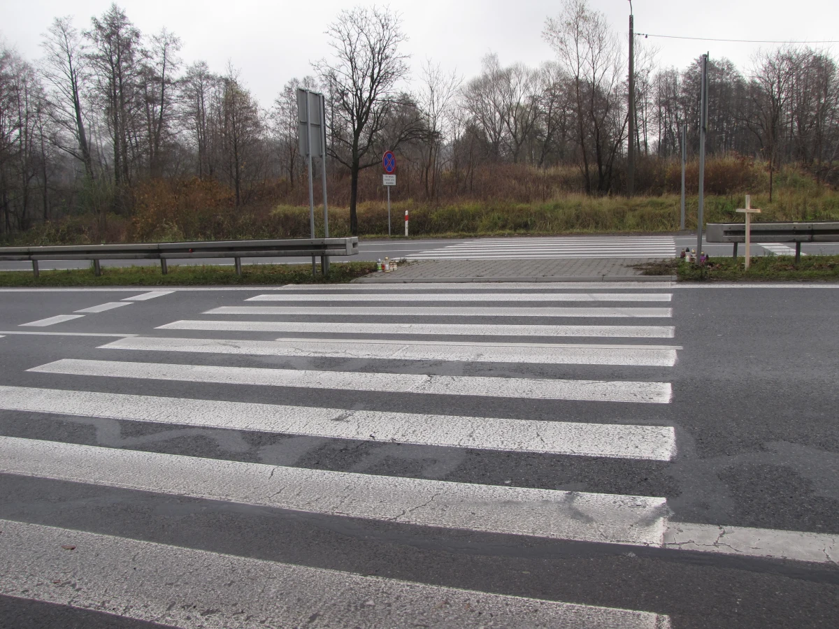 Dziś i jutro kierowcy mogą mieć problem z przejazdem tzw. Wiślanką czyli drogą krajową nr. 81 w Śląskiem. Mieszkańcy Orzesza-Woszczyc i Mikołowa-Mokre będą protestować przeciwko planom budowy linii kolejowych prowadzących do Centralnego Portu Komunikacyjnego, który ma powstać między Warszawą a Łodzią.