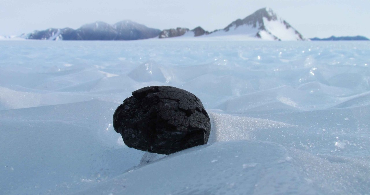 Naukowcy zamierzają zbadać tysiące meteorytów, które kryją się przed naszym wzrokiem pod lodami Antarktydy. Uczeni mówią, że zbadanie tych kosmicznych skał pomoże odpowiedzieć nam na nawet najbardziej skomplikowane pytania dotyczące historii Ziemi i całego kosmosu.
