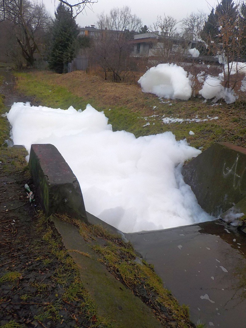 /Warszawska Straż Miejska /