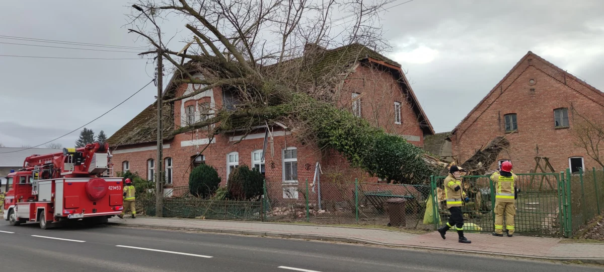 Mieszkańcy Drawska Pomorskiego prawie dwie doby nie mieli prądu. To skutki wichur, jakie w weekend przeszły przez region. W 11-tysięcznym mieście otwartych było w poniedziałek tylko kilka marketów - tych, które miały własne zasilanie. Mniejsze sklepy i urzędy były zamknięte. Prądu po weekendowych wichurach nie miała do godzin popołudniowych cała gimna Złocieniec. Do dwóch działających w powiecie stacji benzynowych ustawiały się kolejki. "Muszę brać paliwo na zaś, bo nie wiadomo, kiedy prad zostanie przywrócony" – mówił jeden z mieszkańców.