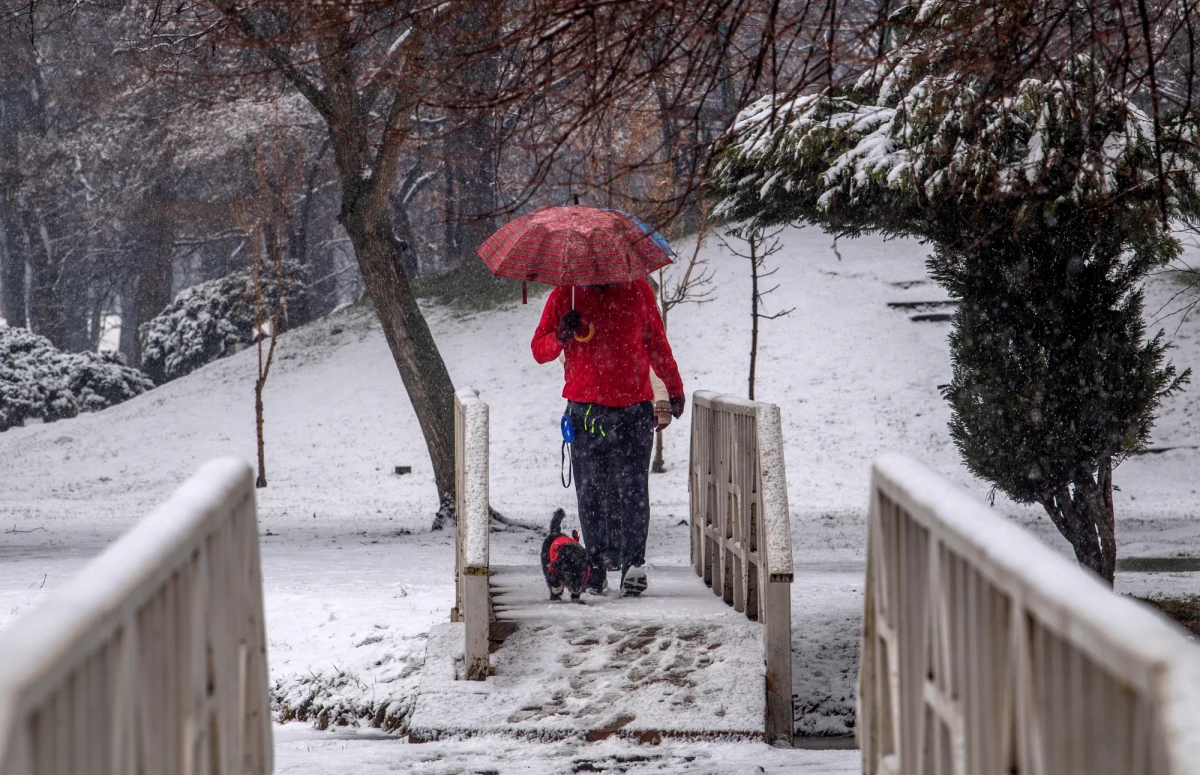 Środa w pogodzie będzie wietrzna i z opadami śniegu – przewidują synoptycy IMGW. Na Dolnym Śląsku wiatr może sięgnąć 80 km/h. Śnieg i śnieg  z deszczem spadnie na wschodzie kraju, natomiast na zachodzie będzie padł deszcz.