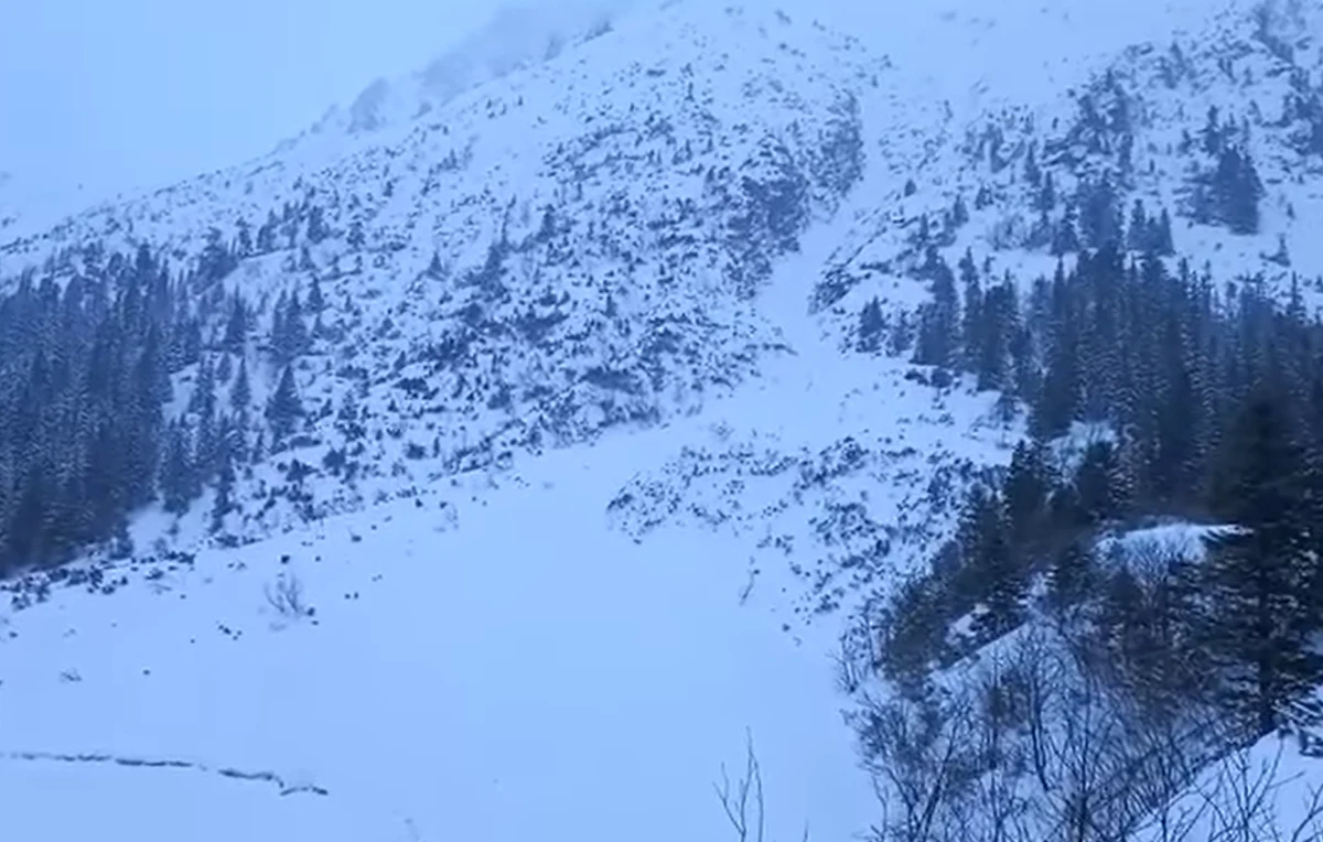 Potężna lawina śnieżna zeszła na taflę Morskiego Oka w Tatrach, załamując grubą warstwę lodu. Jak informuje leśniczy Tatrzańskiego Parku Narodowego, zwały śniegu znalazły się w miejscu, gdzie zazwyczaj gromadzą się tłumy turystów. Mogło dość do wielkiej tragedii. 