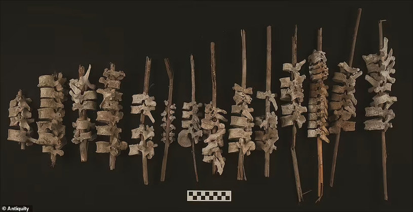 Archeolodzy pracujący właśnie na stanowiskach w Peru dokonali mrożącego krew w żyłach odkrycia, a mianowcie blisko 200 kręgosłupów ludzkich dosłownie nabitych na łodygi, których wiek szacuje się na ok. 500 lat. 