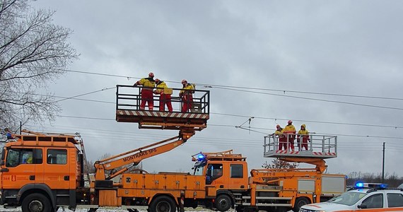 Przywrócono ruch tramwajowy na odcinku pomiędzy pętlą Annopol a Żerań w Warszawie.  Awaria, do której doszło rano została usunięta - poinformował rzecznik Tramwajów Warszawskich - Maciej Dutkiewicz.