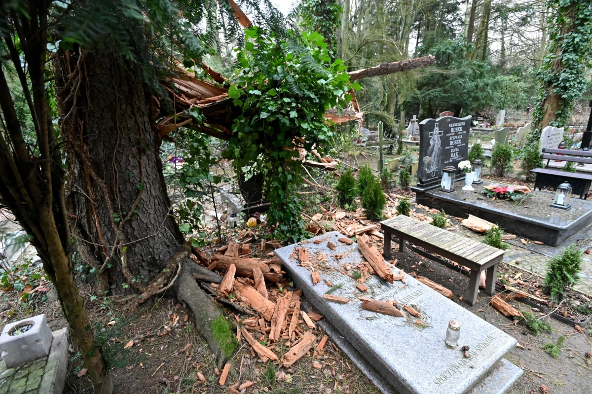 Nadal około 14 tysięcy odbiorców na północy Polski nie ma prądu. To już czwarta doba bez zasilania w Zachodniopomorskiem i Pomorskiem. Trwa wielkie sprzątanie i liczenie strat.  Lasy Państwowe szacują, że połamanych zostało dziesiątki tysięcy drzew. Gdyby ustawić ciężarówki załadowane tym drewnem jedna za drugą, sznur pojazdów ciągnąłby się od Szczecina do Torunia - mówią leśnicy.