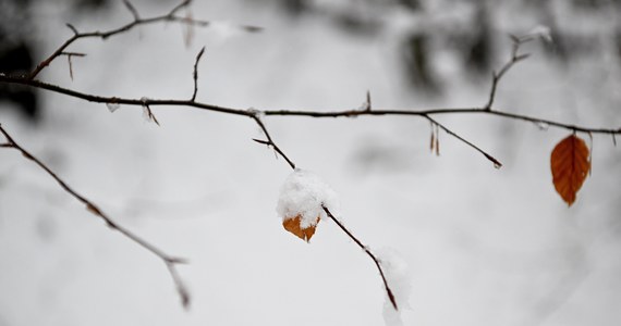 Czwartek w pogodzie czeka nas pochmurny i ze słabymi opadami. W zależności od regionu będzie to deszcz, deszcz ze śniegiem, a miejscami także śnieg. Temperatura w całej Polsce bardzo zróżnicowana -  od - 1 st. C na wschodzie do 6 st. C na zachodzie - przekazał dyżurny synoptyk Instytutu Meteorologii i Gospodarki Wodnej Kamil Walczak.