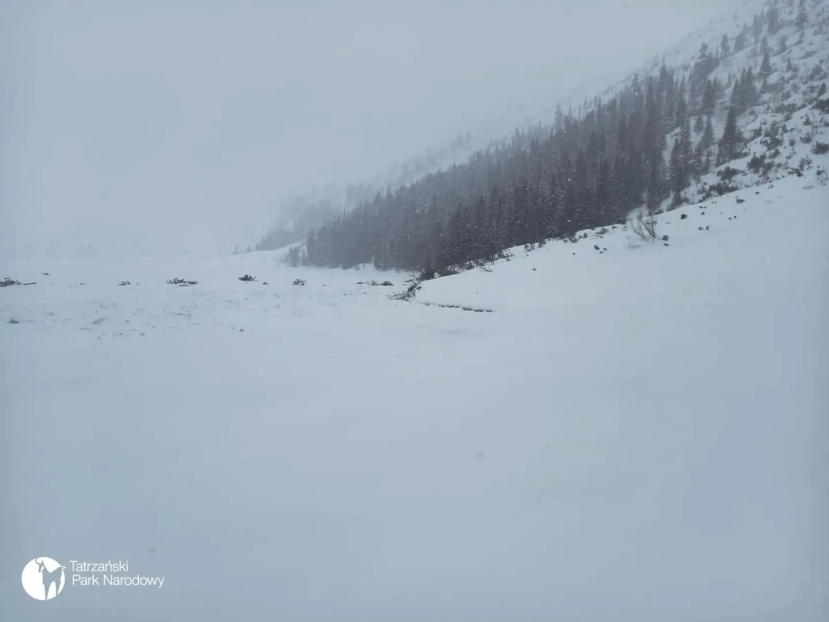 Ze względu na zagrożenie lawinowe Tatrzański Park Narodowy zamknął drogę do Morskiego Oka. Stało się tak na wniosek Tatrzańskiego Ochotniczego Pogotowia Ratunkowego, które oceniło, że istnieje duże ryzyko zejścia lawin bezpośrednio na drogę prowadzącą do schroniska. 