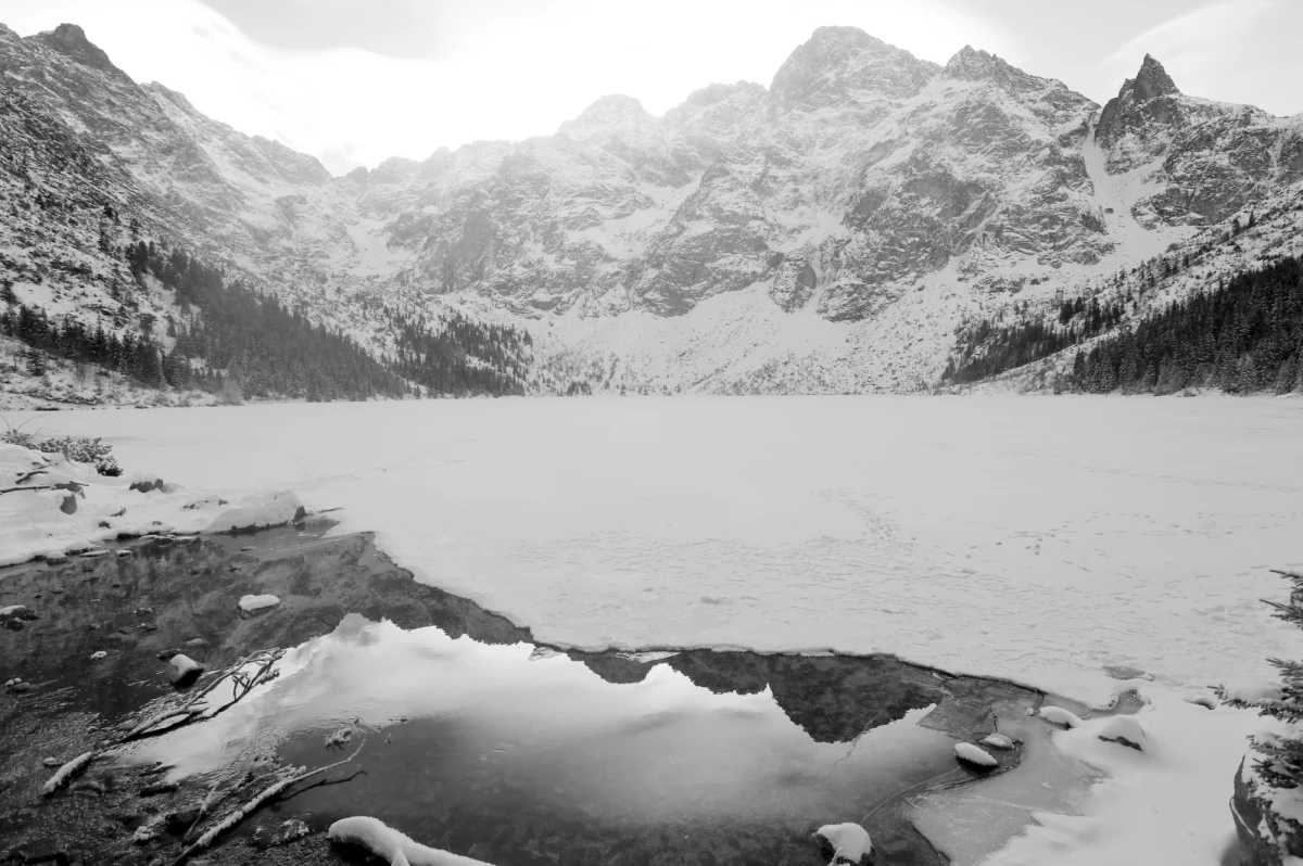 W czwartek po południu dużych rozmiarów śnieżna lawina zeszła z Pośredniego Goryczkowego Wierchu na trasę narciarską w Kotle Goryczkowym. Lawinę najprawdopodobniej wyzwolił narciarz jadący poza wyznaczoną trasą - ocenili ratownicy TOPR.