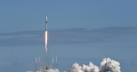 Naukowcy z Uniwersytetu Przyrodniczego we Wrocławiu wysłali w kosmos powszechnie występujące na Ziemi grzyby gatunku Fusarium culmorum. Chcą sprawdzić, jak zachowają się w warunkach braku grawitacji. Jeśli przetrwają, badacze wyślą w kosmos satelitę z większymi organizmami.