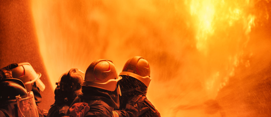 Nawet 70 proc. strażaków umiera na nowotwór - to dane Międzynarodowego Stowarzyszenia Strażaków, które przywołano w trakcie dzisiejszej konferencji naukowej dotyczącej raka w straży pożarnej. W trakcie wydarzenia online strażacy i eksperci mówili o przyczynach narażenia strażaków na nowotwór i sposobach jego zmniejszenia.