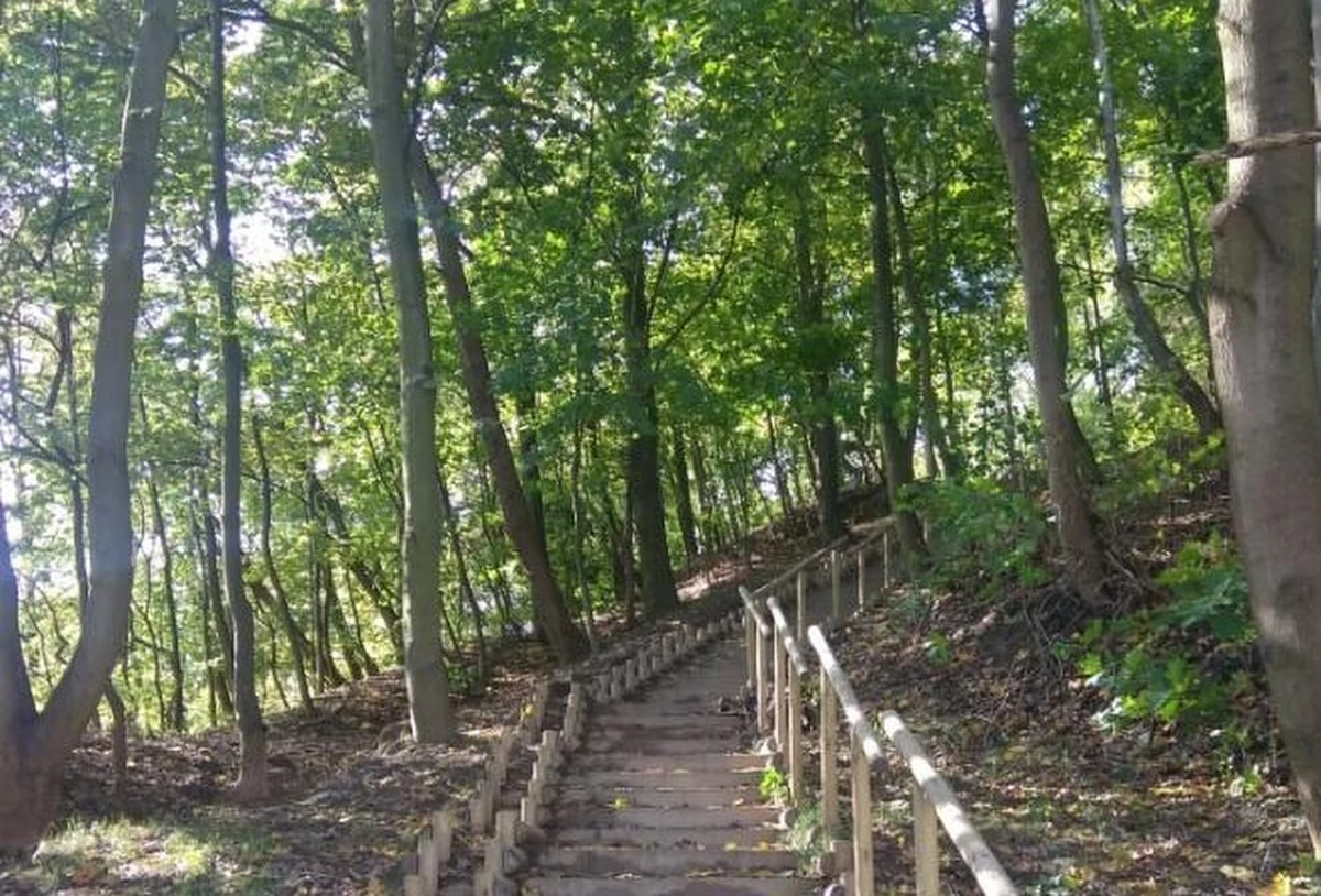 ​Władze Gdańska chcą odtworzyć park leśny przy Uniwersyteckim Centrum Klinicznym na Aniołkach. Istniał on w latach 40. XX wieku. Mieszkańcy do końca lutego będą mieli wgląd w projekt zagospodarowania tego terenu.