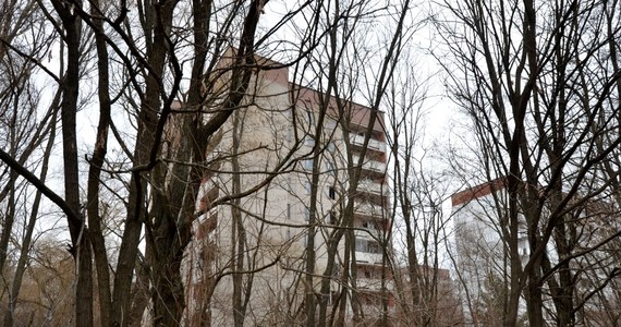 W opuszczonym mieście Prypeć w obwodzie kijowskim, przy granicy z Białorusią, odbyły się w ćwiczenia sił Ministerstwa Spraw Wewnętrznych Ukrainy. Ćwiczono taktykę obrony miasta, działania bojowe w zurbanizowanej przestrzeni oraz działania w sytuacji kryzysowej.