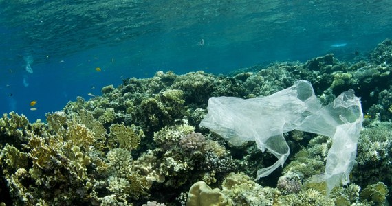 Pod powierzchnią oceanów kryje się potężna masa zwykle pomijanego dotąd mikroplastiku - „Global Change Biology” . Obejmuje on głównie najmniejsze cząstki, które zdaniem naukowców mogą stwarzać największe zagrożenie dla środowiska, a także dla ludzi.