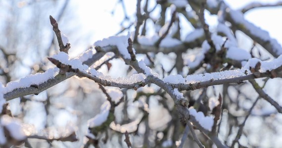 Instytut Meteorologii i Gospodarki Wodnej wydał ostrzeżenia pogodowe pierwszego stopnia dla Dolnego Śląska. Ostrzega przed silnym wiatrem prawie w całym województwie. Na południu także przed intensywnymi opadami śniegu. Alerty obowiązują do późnego wieczora.