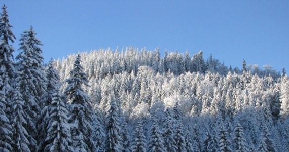 Z powodu silnego wiatru i obfitych opadów śniegu w słowackiej części Tatr ogłoszono czwarty, wysoki stopień zagrożenia lawinowego. 