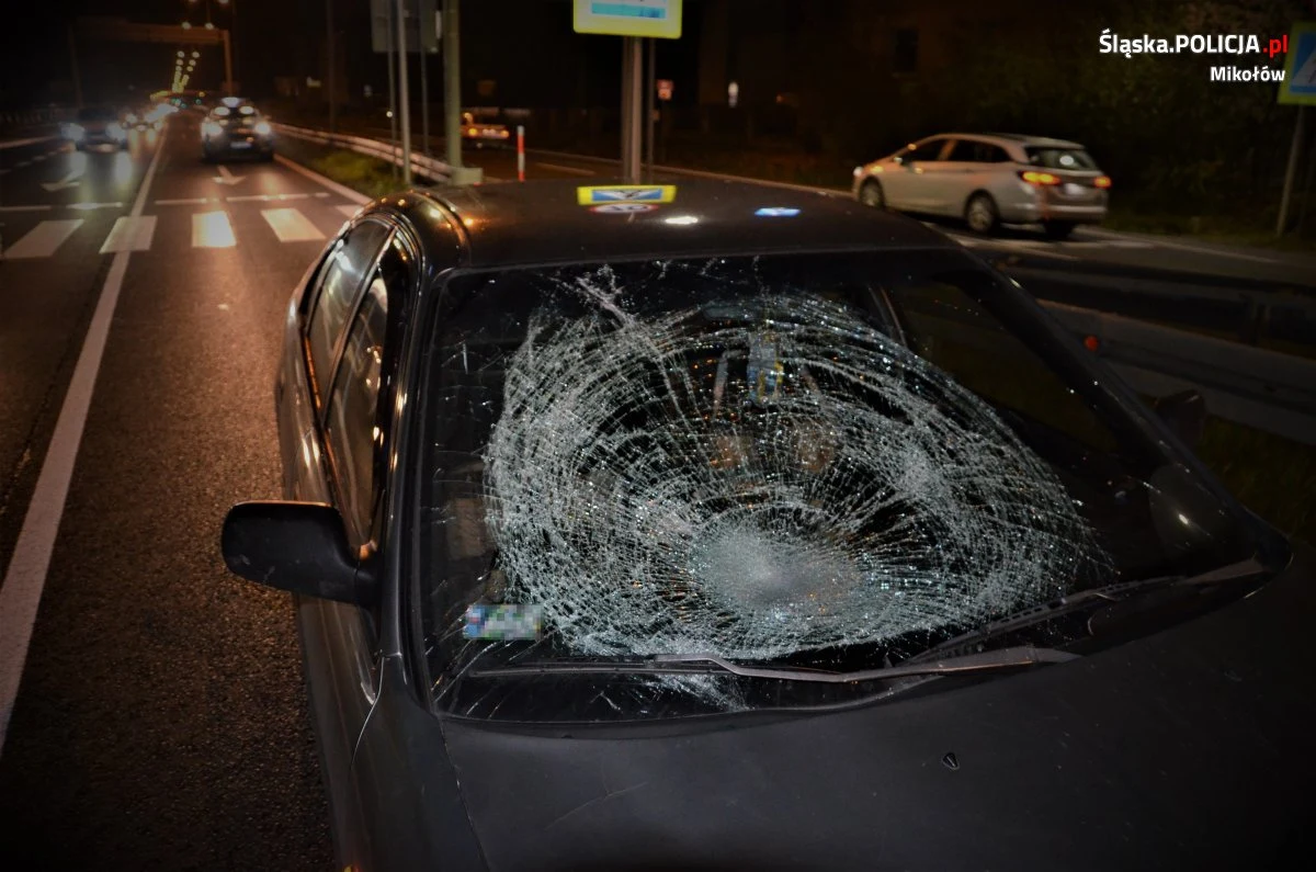 Seria śmiertelnych wypadków pieszych w Śląskiem. Od początku roku na drogach zginęło tam aż 10 osób potrąconych przez samochody. Połowa tych wypadków była na oznakowanych przejściach.