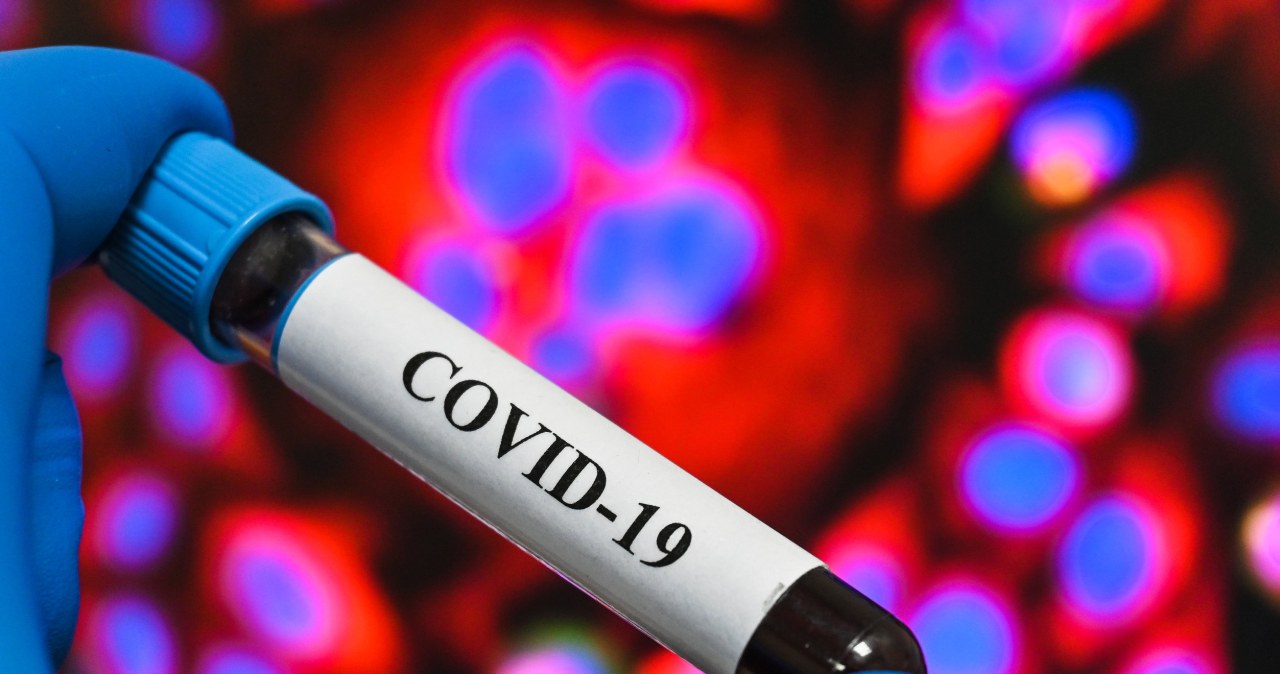 Naukowcy wykorzystają pamięć immunologiczną po COVID-19 do walki z rakiem